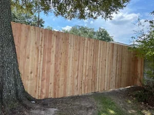 Vertical cedar wood privacy fence with curved top edge installed along tree line