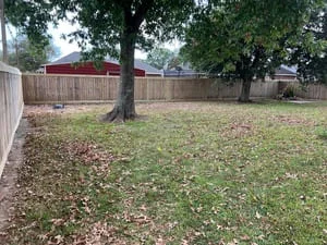 Residential backyard with mature trees, wooden fence, and cleared yard space